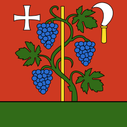 CHE Höngg Flag